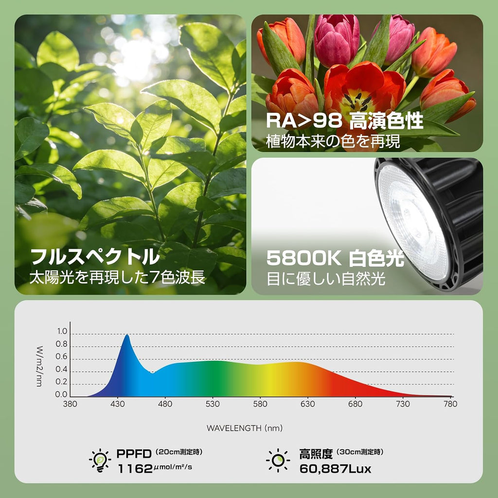 「SUNPIE」植物育成ライトLED 補光ライト 24W フルスペクトル 白色光 5800K 24°集光設計 E26口金 工事不要 室内栽培・観葉植物用・多肉植物用 (4, 24W)
