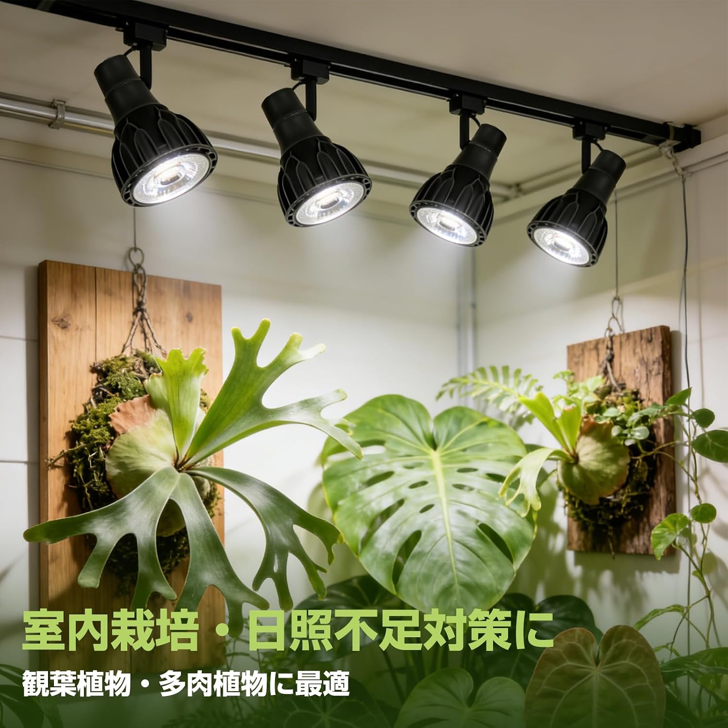 「SUNPIE」植物育成ライトLED 補光ライト 24W フルスペクトル 白色光 5800K 24°集光設計 E26口金 工事不要 室内栽培・観葉植物用・多肉植物用 (4, 24W)