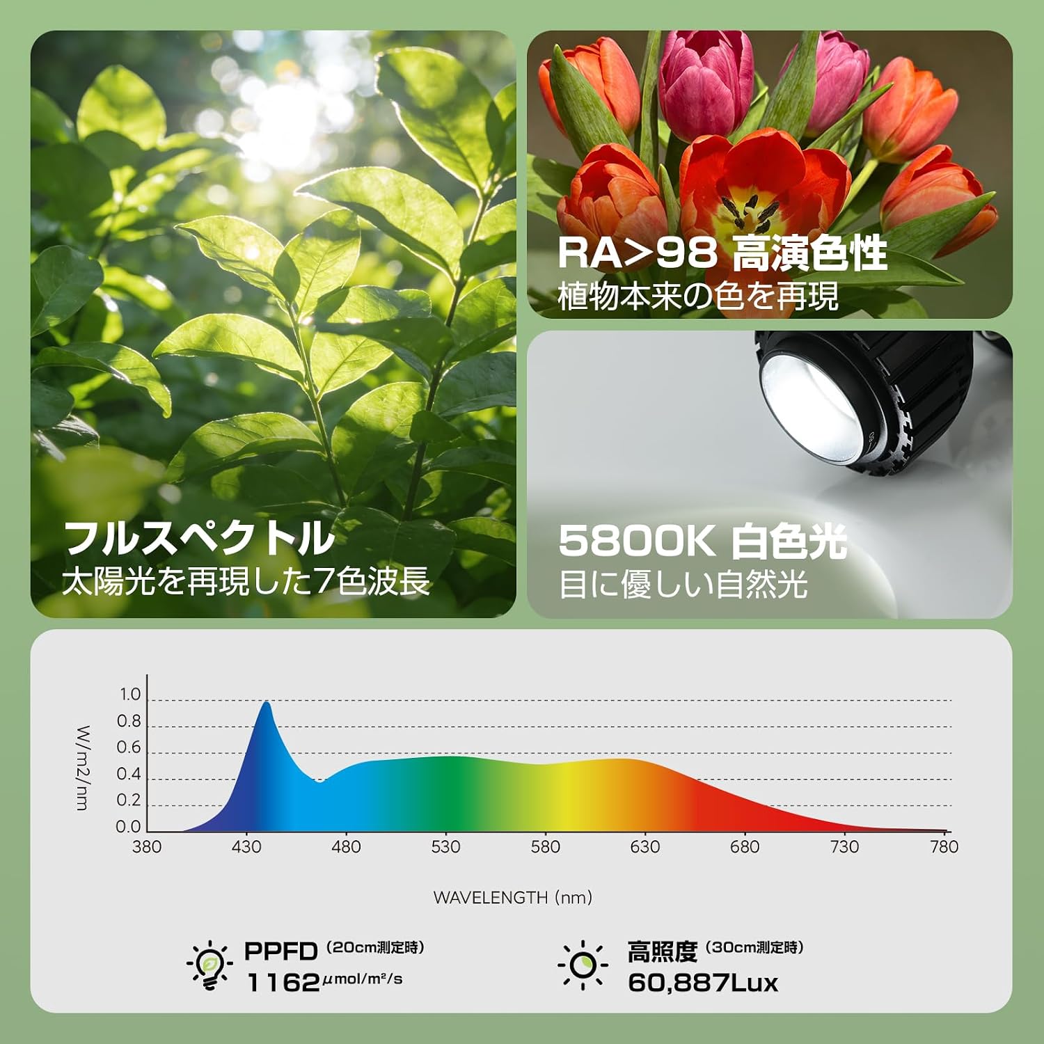 「SUNPIE」植物育成ライト LED 補光ライト 24W フルスペクトル 5800K ビーム角調整可能 E26口金 工事不要 室内栽培・観葉植物・多肉植物用 (5800K 2個)