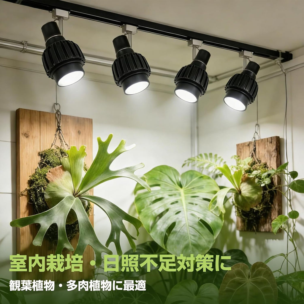 「SUNPIE」植物育成ライト LED 補光ライト 24W フルスペクトル 5800K ビーム角調整可能 E26口金 工事不要 室内栽培・観葉植物・多肉植物用 (5800K 2個)
